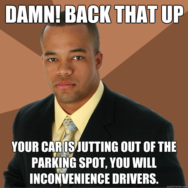 Damn! Back that up your car is jutting out of the parking spot, you will inconvenience drivers.  Successful Black Man