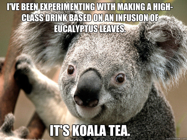I've been experimenting with making a high-class drink based on an infusion of eucalyptus leaves.
 
It's koala tea.   Evil Koala Bear