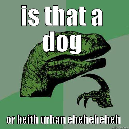 IS THAT A DOG OR KEITH URBAN EHEHEHEHEH Philosoraptor