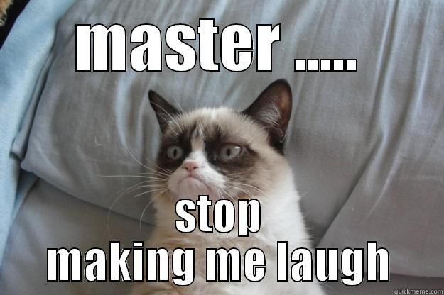 MASTER ..... STOP MAKING ME LAUGH Grumpy Cat