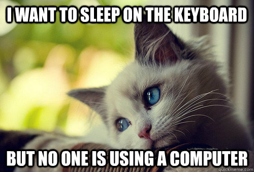 I want to sleep on the keyboard but no one is using a computer  First World Problems Cat