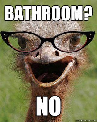 Bathroom? no  Judgmental Bookseller Ostrich