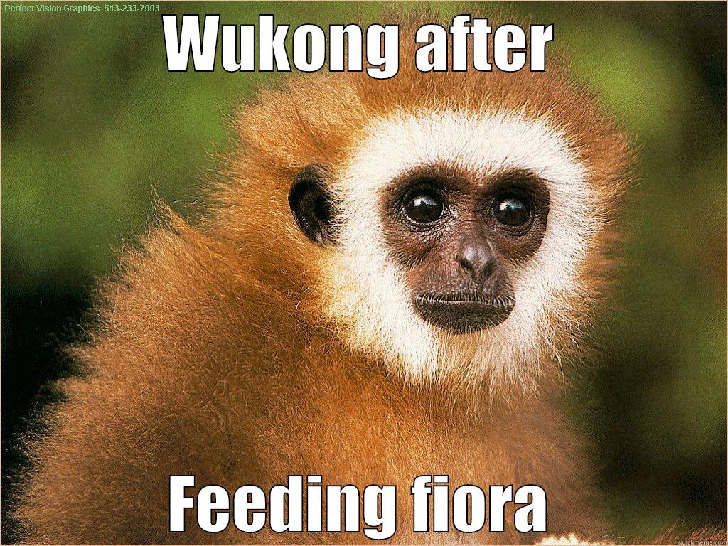 WUKONG AFTER FEEDING FIORA Misc