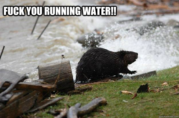 FUCK YOU RUNNING WATER!! - FUCK YOU RUNNING WATER!!  Beavers