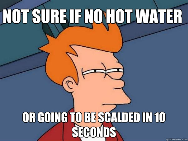 Not sure if no hot water Or going to be scalded in 10 seconds - Not sure if no hot water Or going to be scalded in 10 seconds  Futurama Fry