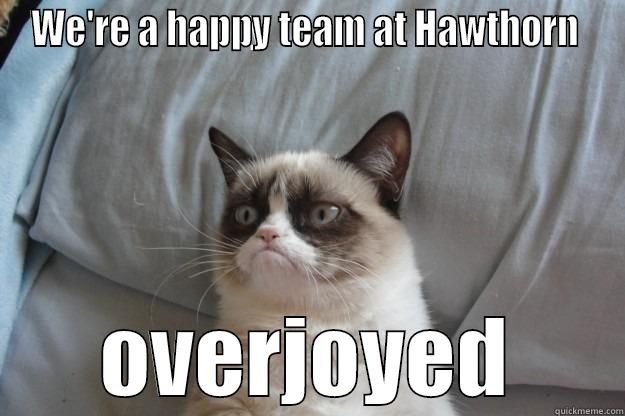 WE'RE A HAPPY TEAM AT HAWTHORN  OVERJOYED Grumpy Cat