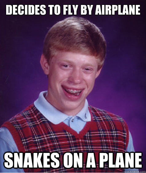 Decides to fly by airplane snakes on a plane  Bad Luck Brian