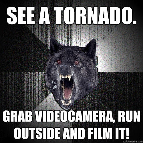 See a tornado. Grab videocamera, run outside and film it! - See a tornado. Grab videocamera, run outside and film it!  Insanity Wolf