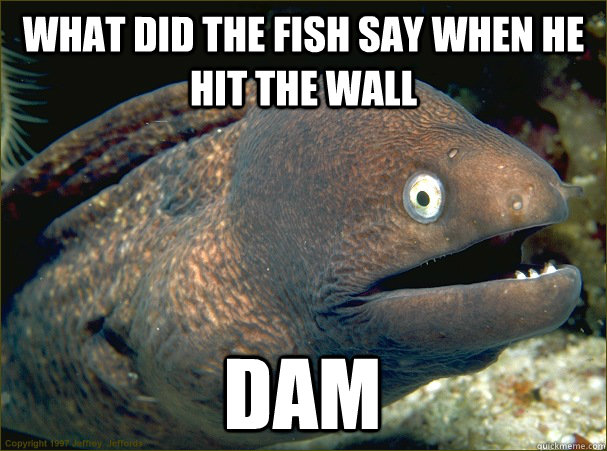 what-did-the-fish-say-when-he-hit-the-wall-dam-bad-joke-eel-quickmeme