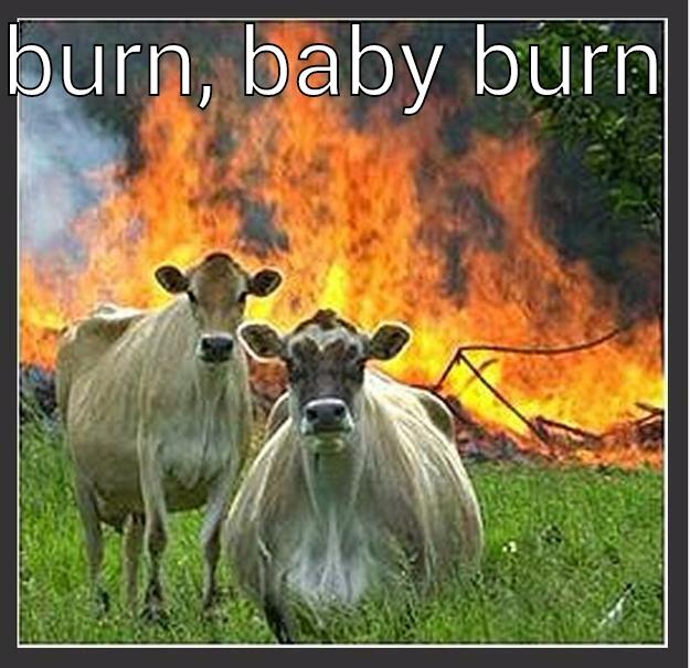 phillipa didn't want the stuff anymore  - BURN, BABY BURN   Evil cows