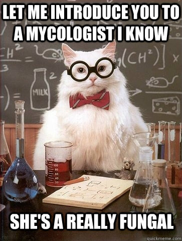 Let me introduce you to a mycologist I know She's a really fungal - Let me introduce you to a mycologist I know She's a really fungal  Chemistry Cat