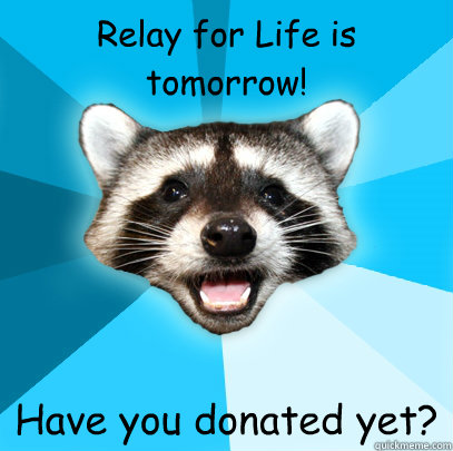 Relay for Life is tomorrow! Have you donated yet?  Lame Pun Coon