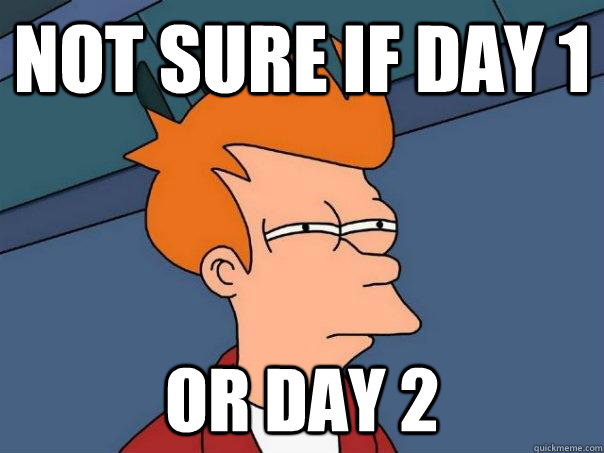 Not sure if Day 1 Or Day 2 - Not sure if Day 1 Or Day 2  Futurama Fry