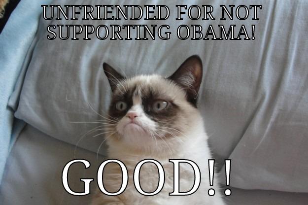 IF YOU - UNFRIENDED FOR NOT SUPPORTING OBAMA! GOOD!! Grumpy Cat