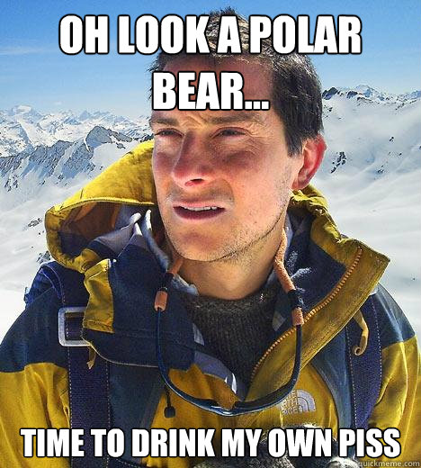 oh look a polar bear... time to drink my own piss - oh look a polar bear... time to drink my own piss  Bear Grylls