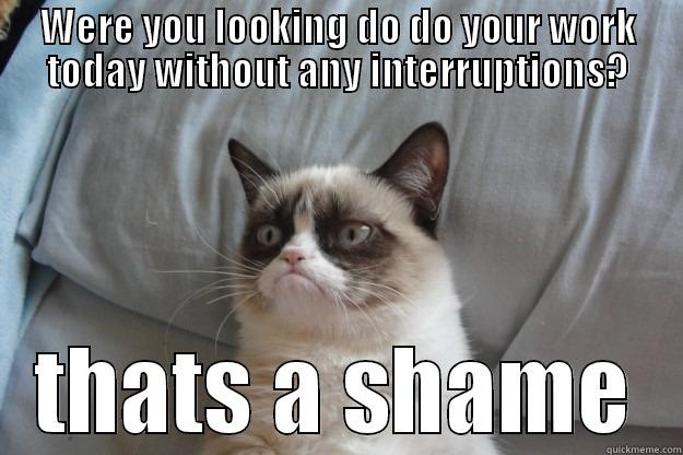 counterproductive cat  - WERE YOU LOOKING DO DO YOUR WORK TODAY WITHOUT ANY INTERRUPTIONS? THATS A SHAME Grumpy Cat