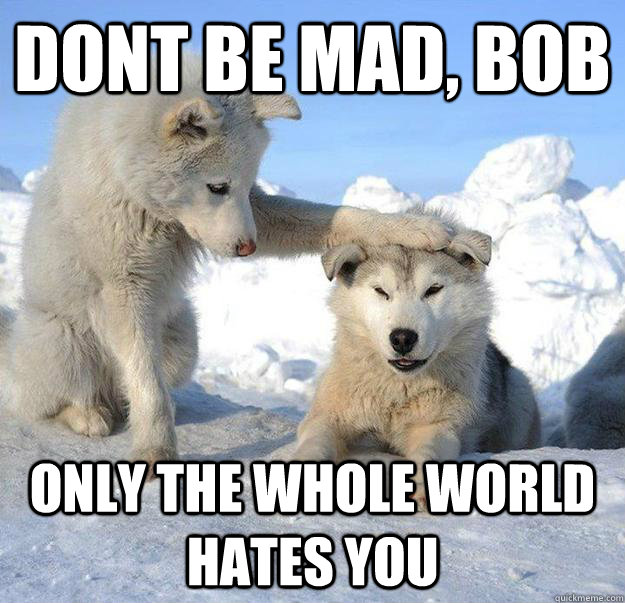 Dont be mad, bob only the whole world hates you  Caring Husky