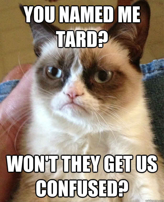 You named me Tard? Won't they get us confused?  Grumpy Cat