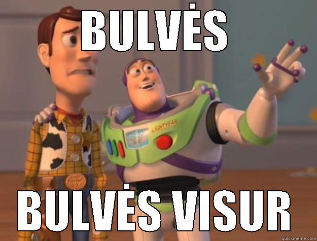 BULVĖS BULVĖS VISUR Toy Story