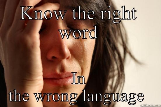 KNOW THE RIGHT WORD IN THE WRONG LANGUAGE  First World Problems