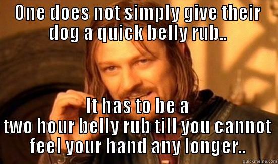 ONE DOES NOT SIMPLY GIVE THEIR DOG A QUICK BELLY RUB.. IT HAS TO BE A TWO HOUR BELLY RUB TILL YOU CANNOT FEEL YOUR HAND ANY LONGER.. Boromir