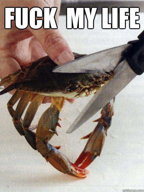 fuck  my life  - fuck  my life   Optimistic Crab