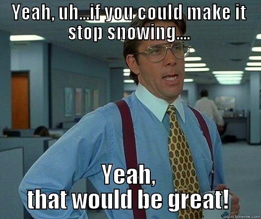 YEAH, UH...IF YOU COULD MAKE IT STOP SNOWING.... YEAH, THAT WOULD BE GREAT! Office Space Lumbergh