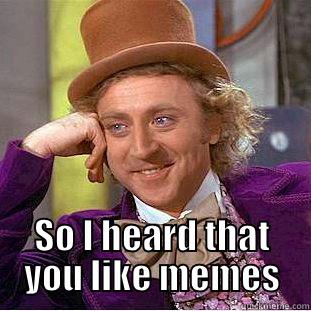 Enough with the memes! -  SO I HEARD THAT YOU LIKE MEMES Condescending Wonka