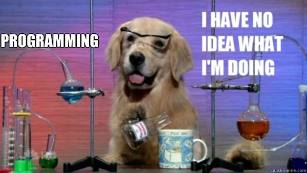 Programming   science dog