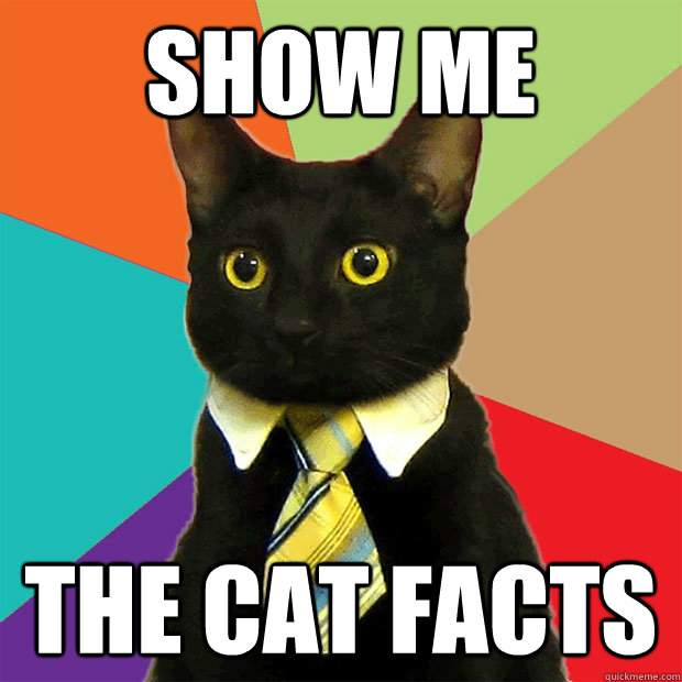 Show Me The cat facts   Business Cat