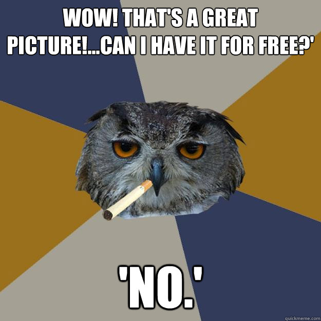 WOW! That's a great picture!...Can I have it for free?' 'NO.'   - WOW! That's a great picture!...Can I have it for free?' 'NO.'    Art Student Owl