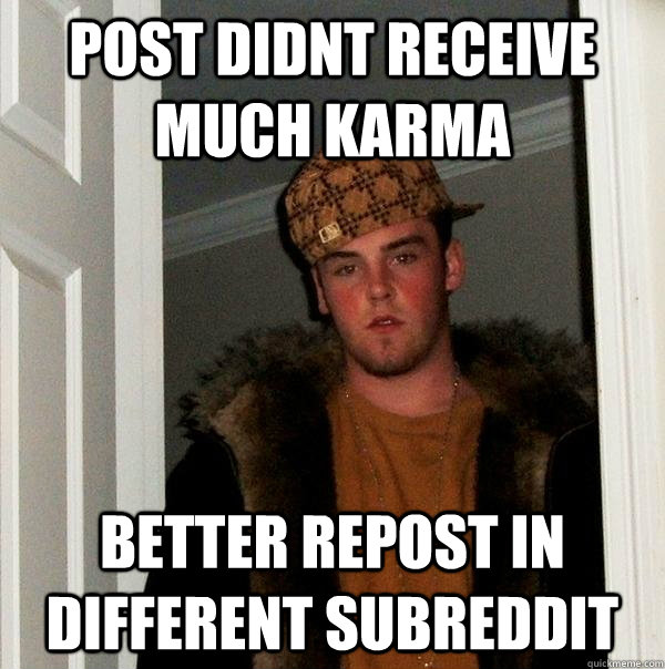 post didnt receive much karma better repost in different subreddit  Scumbag Steve