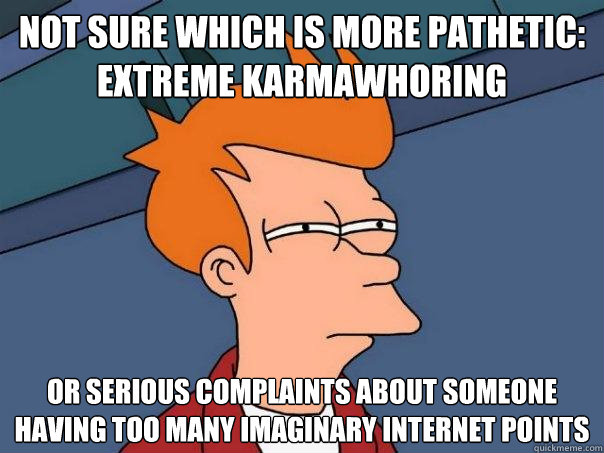Not sure which is more pathetic: extreme karmawhoring Or serious complaints about someone having too many imaginary internet points  Futurama Fry