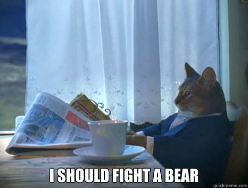  I should fight a bear  