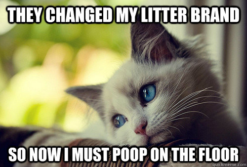 They changed my litter brand so now I must poop on the floor  First World Problems Cat