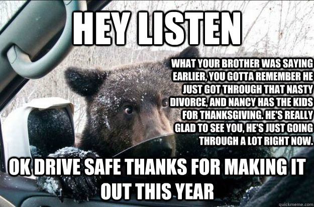 hey listen what your brother was saying earlier, you gotta remember he just got through that nasty divorce, and nancy has the kids for thanksgiving. he's really glad to see you, he's just going through a lot right now. ok drive safe thanks for making it o  Good Bear Greg