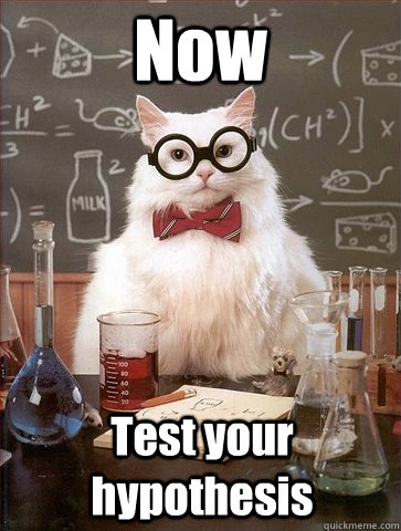 Now  Test your hypothesis  Chemistry Cat