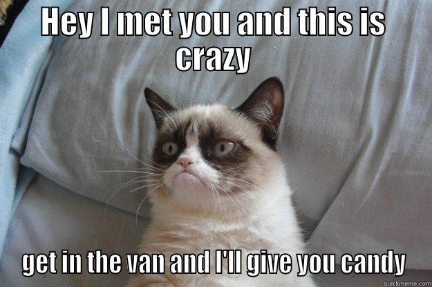 HEY I MET YOU AND THIS IS CRAZY GET IN THE VAN AND I'LL GIVE YOU CANDY Grumpy Cat