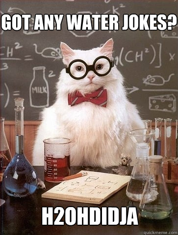 Got any water jokes? H2Ohdidja  Chemistry Cat