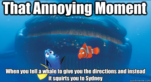 That Annoying Moment When you tell a whale to give you the directions and instead it squirts you to Sydney - That Annoying Moment When you tell a whale to give you the directions and instead it squirts you to Sydney  nemo