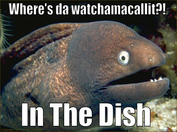 WHERE'S DA WATCHAMACALLIT?! IN THE DISH Bad Joke Eel