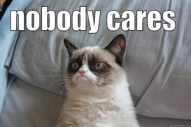 NOBODY CARES  Grumpy Cat