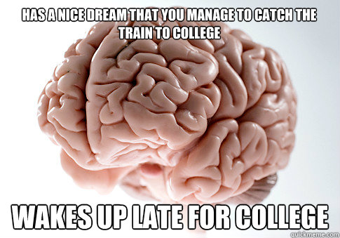 has a nice dream that you manage to catch the train to college wakes up late for college  Scumbag Brain