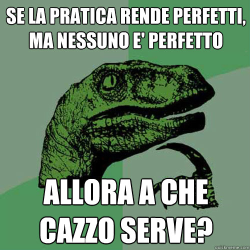 se la pratica rende perfetti, ma nessuno e' perfetto allora a che cazzo serve? - se la pratica rende perfetti, ma nessuno e' perfetto allora a che cazzo serve?  Philosoraptor