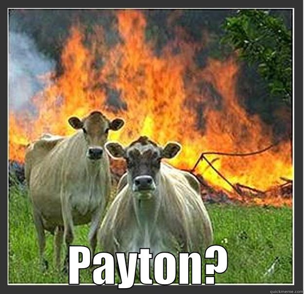  PAYTON? Evil cows