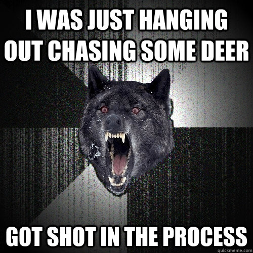 I was just hanging out chasing some deer got shot in the process  Insanity Wolf