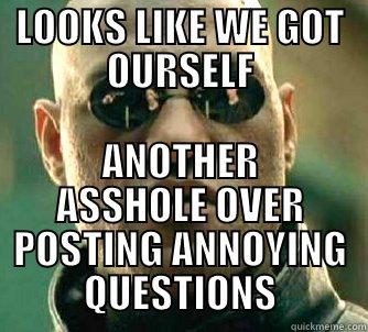 LOOKS LIKE WE GOT OURSELF ANOTHER ASSHOLE OVER POSTING ANNOYING QUESTIONS Matrix Morpheus