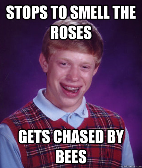 Stops to smell the roses gets chased by bees - Stops to smell the roses gets chased by bees  Badluckbrian