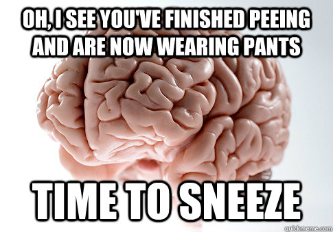 Oh, I see you've finished peeing and are now wearing pants Time to sneeze  Scumbag Brain