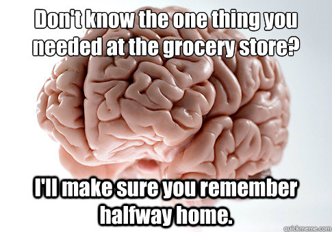 Don't know the one thing you needed at the grocery store?
 I'll make sure you remember halfway home.   Scumbag Brain